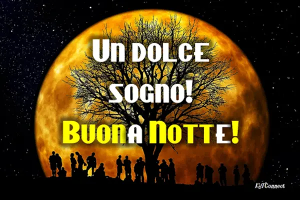 Buongiorno fino a notte android App screenshot 6